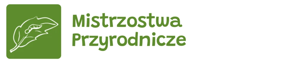 Logo mistrzostw